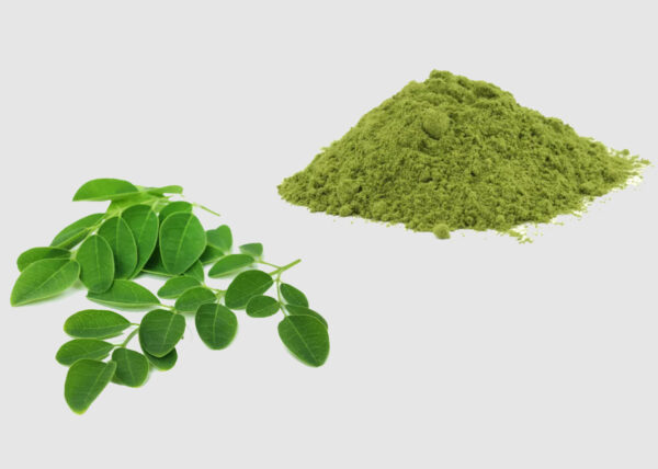 সজনে পাতা চূর্ণ - ২০০ গ্রাম