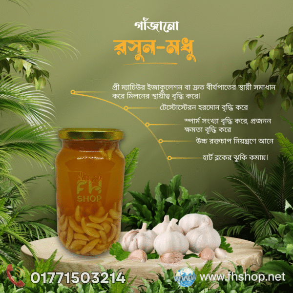 গাাঁজানো রসুন-মধু