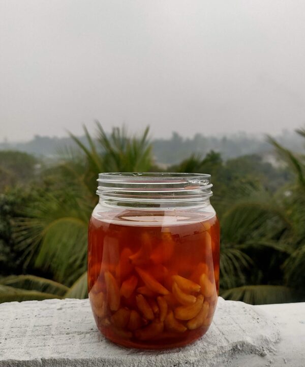 গাঁজানো রসুন মধু - Fermented Garlic Honey - 650 গ্রাম