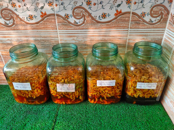 গাঁজানো রসুন মধু - Fermented Garlic Honey - 650 গ্রাম - Image 2